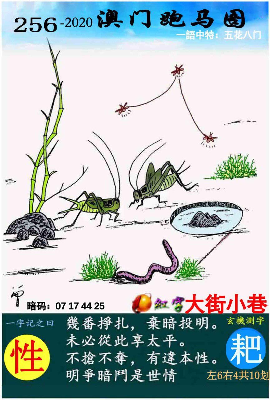 新跑狗图香港高清图片大全正版