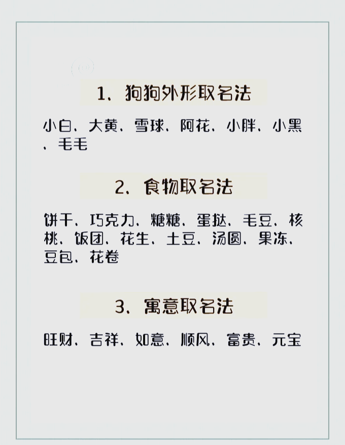 科普展现:小狗名字（小狗名字好听吉利好养）
