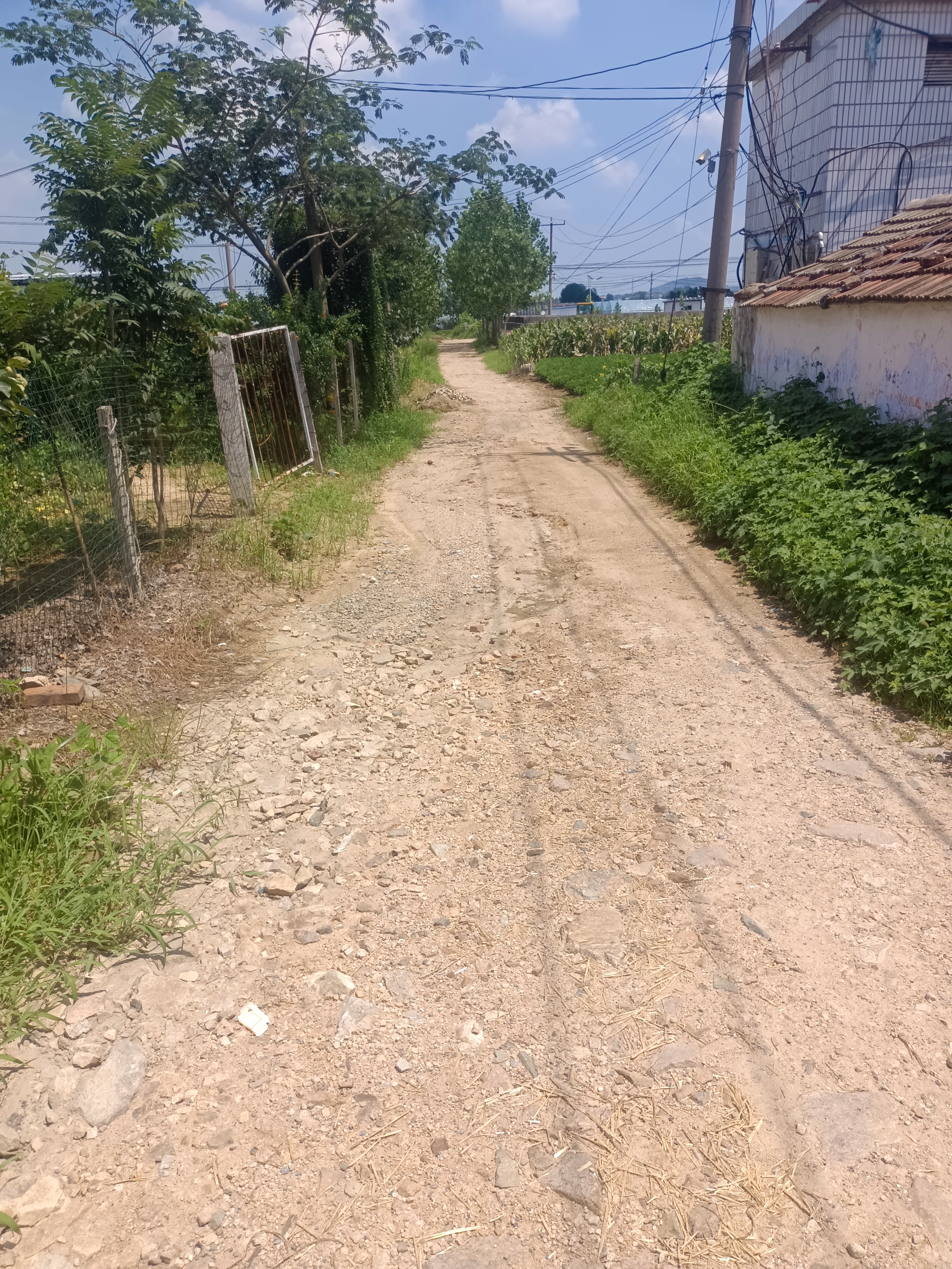 科普展现:路旁土命（路旁土命的女人的命运）