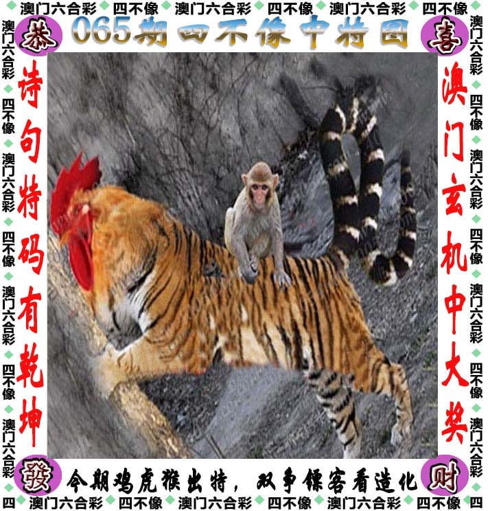 2025年5月 第143页