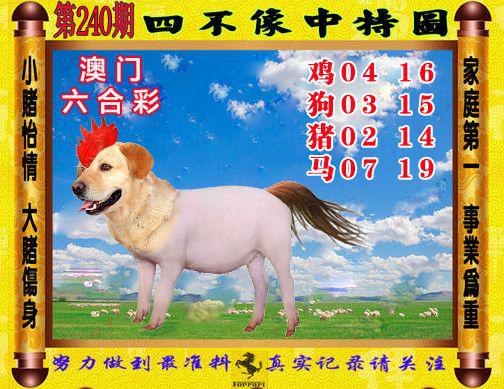 精准四肖选一肖