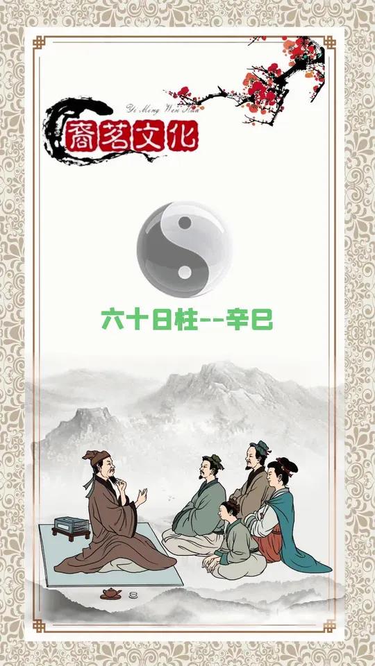 辛巳日柱女命
