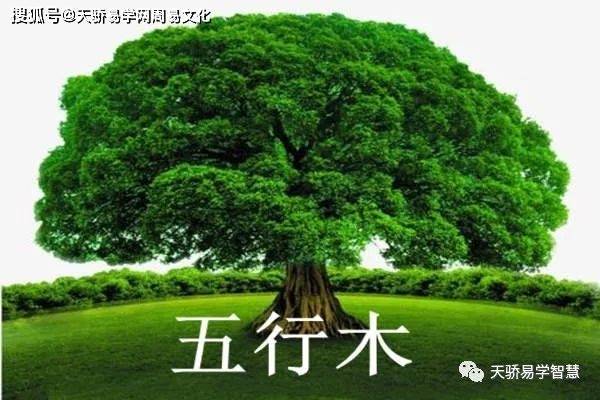 五行属木行业