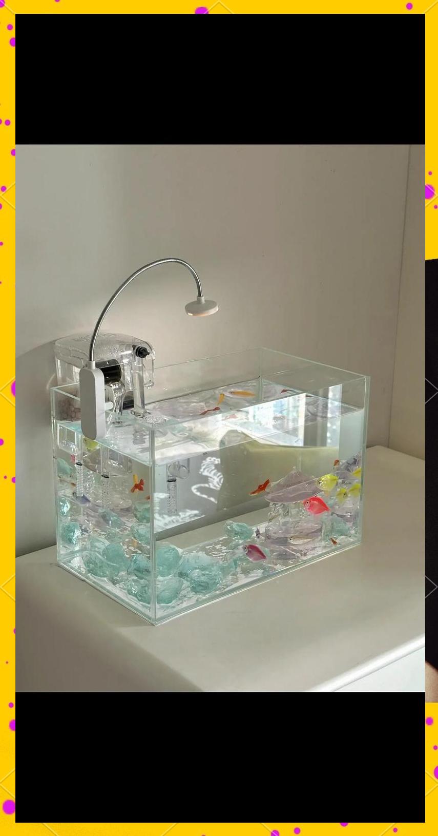 科普展现:鱼缸风水禁忌大全（鱼缸风水知识）