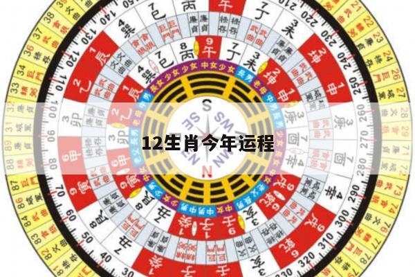 12生肖今年运程