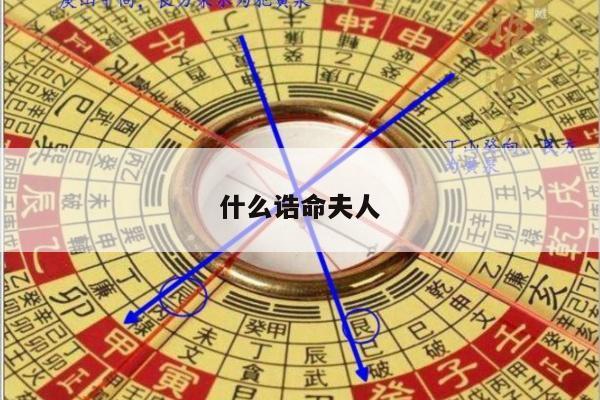 什么诰命夫人