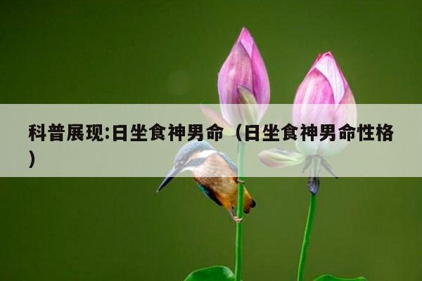 科普展现:日坐食神男命（日坐食神男命性格）