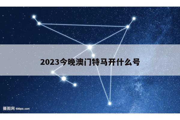 2023今晚澳门特马开什么号