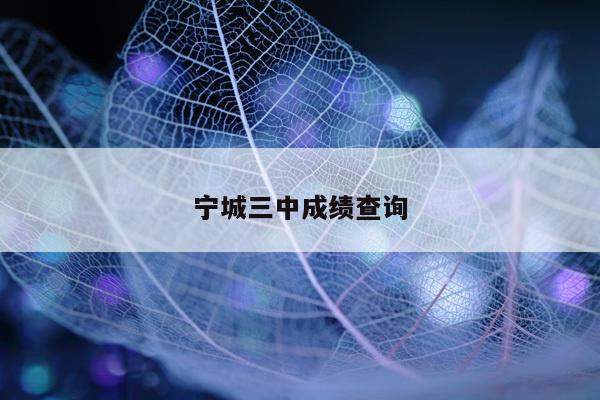 宁城三中成绩查询