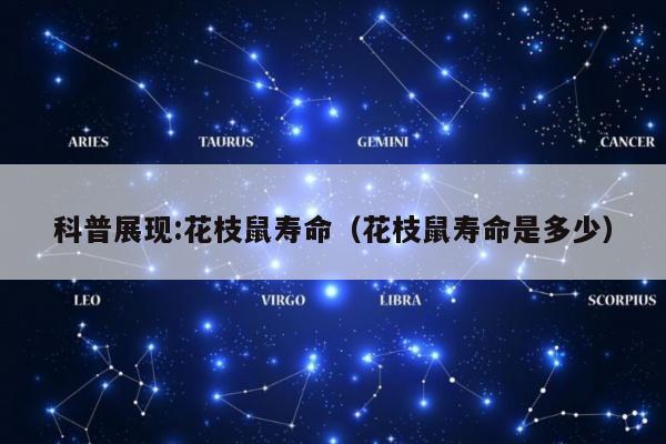 科普展现:花枝鼠寿命（花枝鼠寿命是多少）