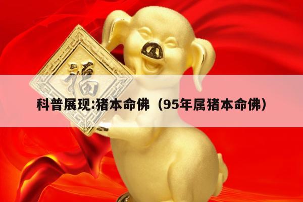 科普展现:猪本命佛（95年属猪本命佛）