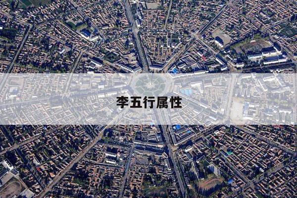 李五行属性