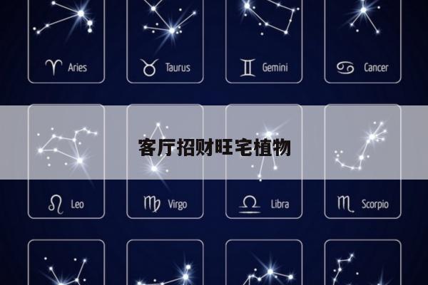 客厅招财旺宅植物