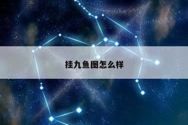 挂九鱼图怎么样