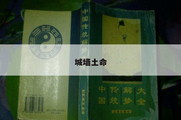 城墙土命