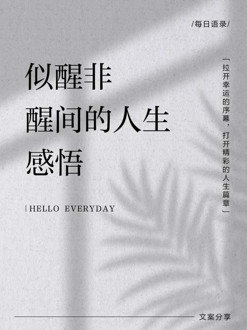 半梦半醒的人生,半梦半醒的人生 电影