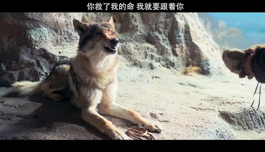 十三条命在线观看免费观看完整版高清,十三条命在线观看免费观看完整版高清国语