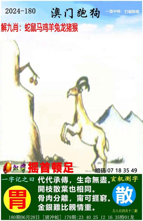 七夕澳门特马,澳门全年特马资料大全