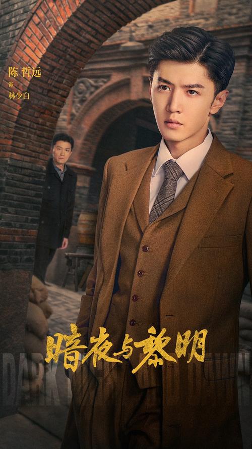 哪个台播暗夜与黎明电视剧,哪个台播暗夜与黎明电视剧啊