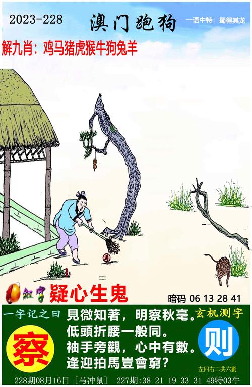 四肖八码精准资料期期准i,四肖八码精准资料期期准i四