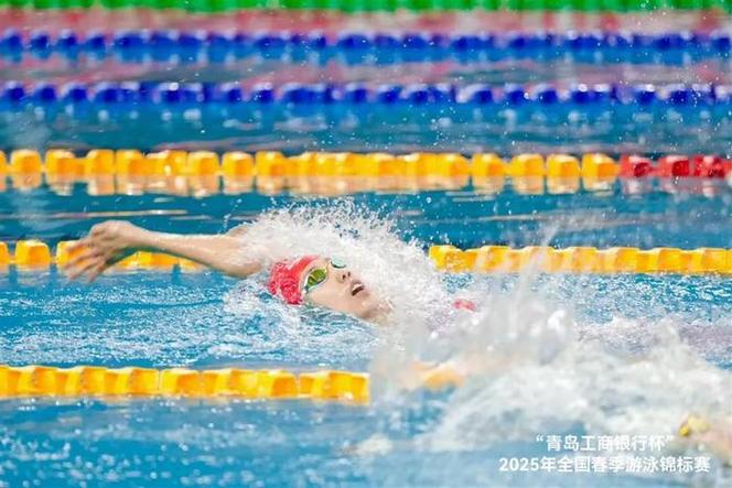 五星体育游泳比赛,五星体育杯游泳比赛