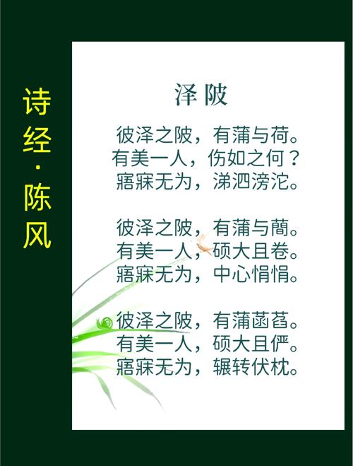 新关于爱情的诗句,新关于爱情的诗句有哪些
