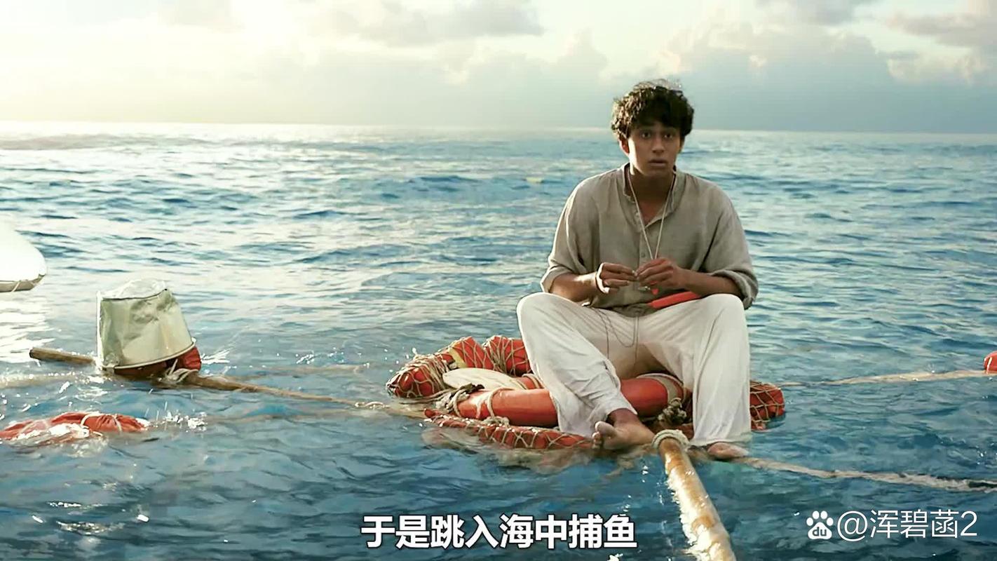 少年派的奇幻漂流,少年派的奇幻漂流解析