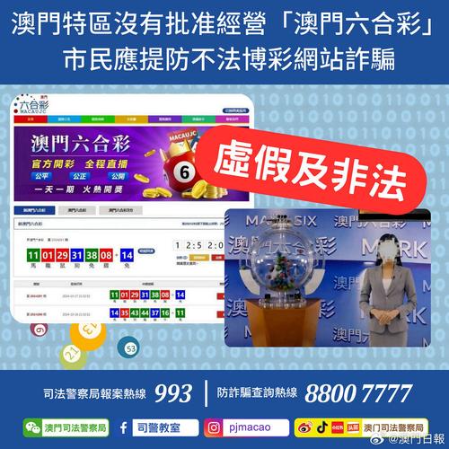新澳门一肖一码资料,