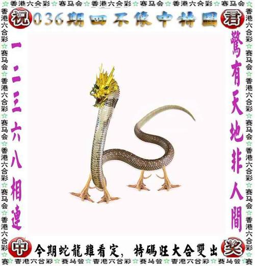香港今晚六给彩资料图库,香港今晚六给彩开奖结果 今天晚上