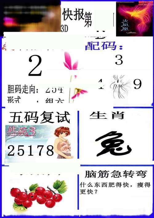 四肖中特_香港老鼠报,四肖中特期期准香港四肖期期准