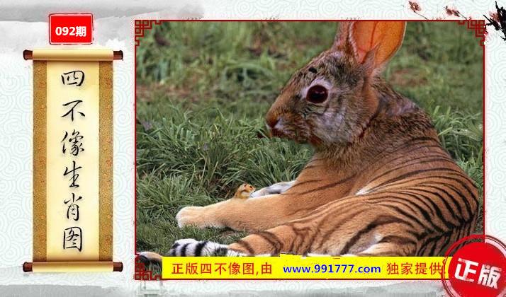 香港猜生肖,香港猜生肖论坛