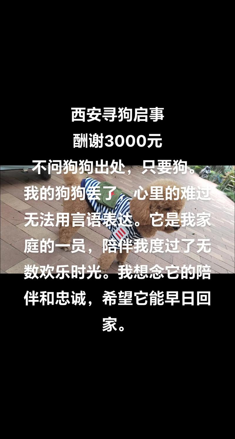 来到这个世上,狗狗死后多久可以投胎重新来到这个世上