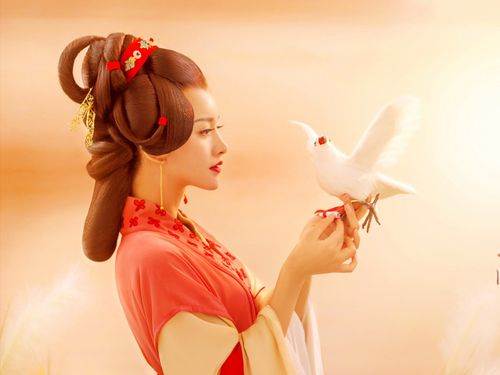 忘忧在线观看高清免费,忘忧电影2019
